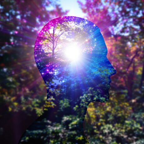 الصحة النفسية