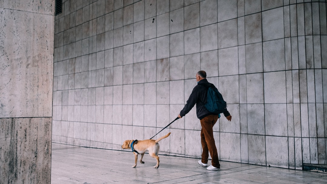 blind person walking with guide dog
