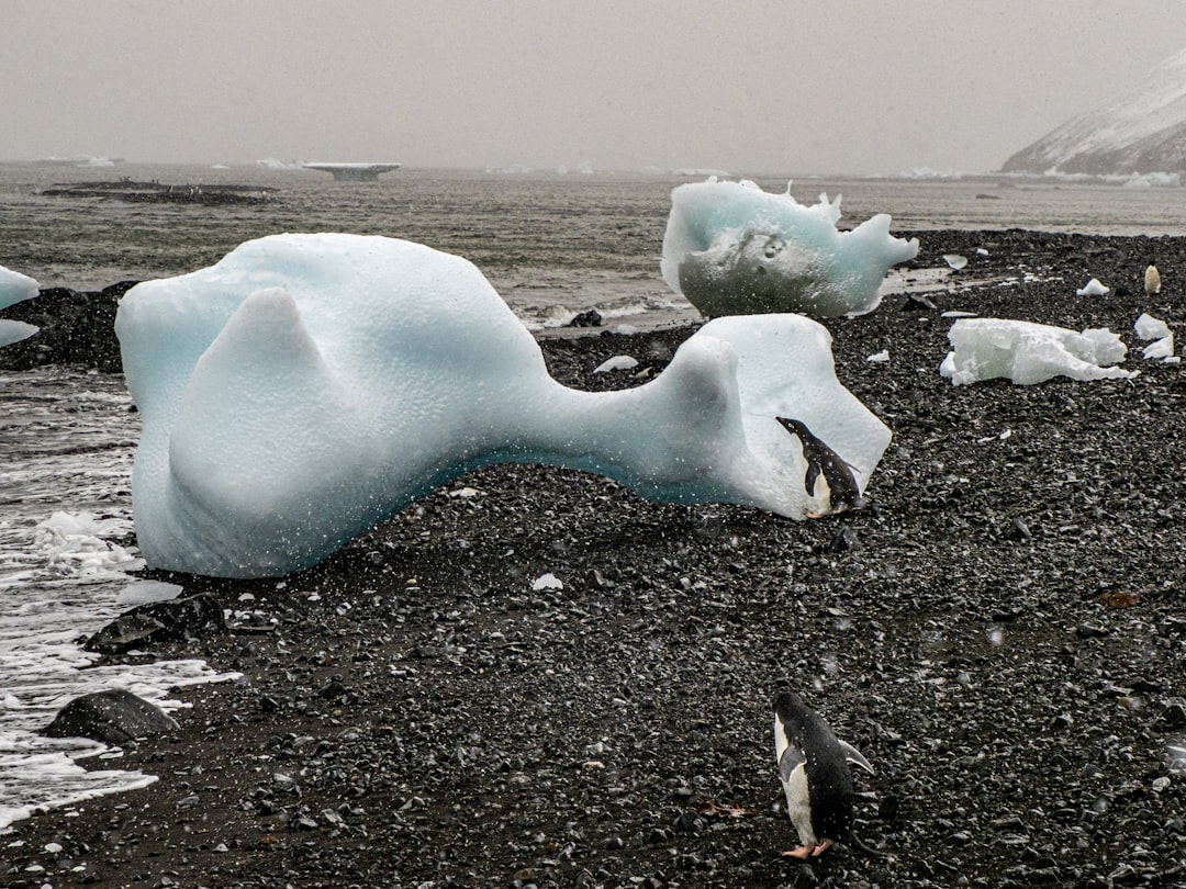 global warming effects